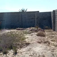 اجاره زمین ۶۰۰ متری با درب بزرگ و دیوار دور|اجارهٔ دفتر صنعتی، کشاورزی، تجاری|جهرم, |دیوار