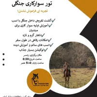 تور سوار کاری در جنگل