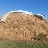 فروش یونجه و علوفه