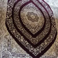 فرس ۶ متری