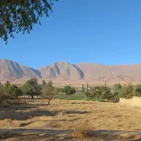 خ اصلی شهر ویست|حراج|گلپایگان, |دیوار