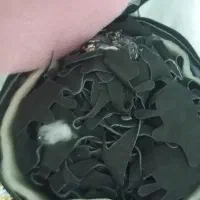 کیسه بوکس|تجهیزات ورزشی|پارس‌آباد, |دیوار