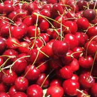 گیلاس تازه  ابدار