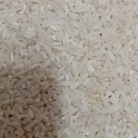 لاشه درشت هاشمی