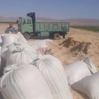 سلام  خسته نباشی خدمت دامداران عزیز دل کاه گندم