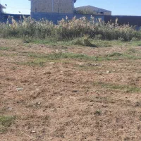 ۴۰۰ زمین ۲۰ در۲۰ محله بیوک خانلو رمین شیخی