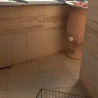 قناری ماده و نر|پرنده|صدرا-فارس, فاز ۱|دیوار