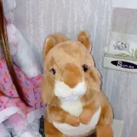 تعدادی عروسک خارجی|اسباببازی|پیشوا, |دیوار