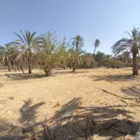 زمین-فروشی-طالقانی-سندباغی