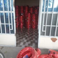 لاستیک پراید|قطعات یدکی و لوازم جانبی|کرمانشاه, |دیوار