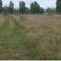 زمین در کلاردشت قطعات ۳۰۰تا۴۰۰متر