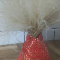 گل ریش بابا