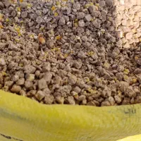 2 تن دان پرواری آجیلی درجه 1 (کیلو۲۶)