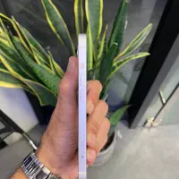 iphone13-256GB|موبایل|گرگان, |دیوار
