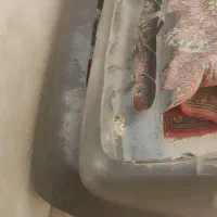 سپر پراید