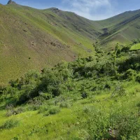 زمین مناسب احداث باغ