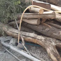 چوب خشک