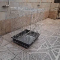 قفس پرنده بزرگ سایز ۵۰ در ۵۰|لوازم جانبی حیوانات|ری, حمزهآباد|دیوار