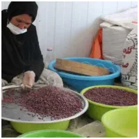 کاردرمنزل بسته بندی بدون پرداخت هزینه رایگان|استخدام صنعتی، فنی، مهندسی|رامهرمز, |دیوار