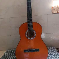 گیتار همراه با کاور