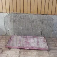 قفس|لوازم جانبی حیوانات|فولادشهر, B2|دیوار