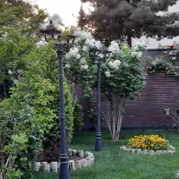 ااجاره-باغ-سالانه-3قطعه-پشت-حاشیه-اصلی-بلوار