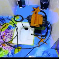 لوله بازکنی10دقیقه ارزان فوری شبانه روزی تمام نقاط|خدمات پیشه و مهارت|زنجان, |دیوار