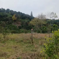 زمین-6000هزارمتر-در-نشتارود