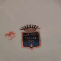 چینی گل برجسته مارک لمونژ کاستل|ظروف سرو و پذیرایی|قم, باجک دو|دیوار