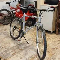 دوچرخه ۲۶  دماوند