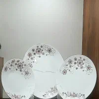 آرکوپال نو|ظروف سرو و پذیرایی|کرج, حصارک پایین|دیوار