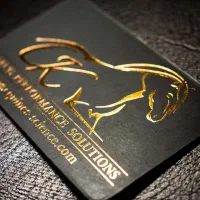 نیرو آشنا به طلاکوب، تاکن ، لیزر و صحافی نیازمندیم