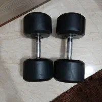 دمبل ۱۵ کیلویی|تجهیزات ورزشی|کرج, شهرک بنفشه|دیوار