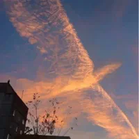 خط روند ۰۹۱۱۱۷۷۹۹۷۵