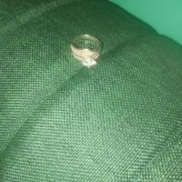 انگشتر نقره