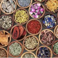 آموزش رایگان طب سنتی