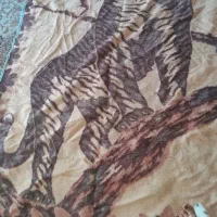 پتو|رختخواب، بالش، پتو|اهواز, فاز ۵ پاداد|دیوار