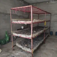 تجهیزات پرورش قارچ|ابزارآلات|تبریز, |دیوار