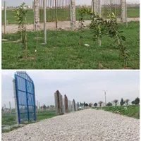 زمین نزدیک گرگان|فروش زمین و ملک کلنگی|سرخنکلاته, |دیوار