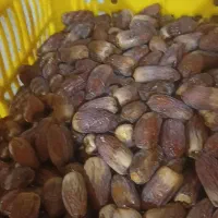 مجول|خوردنی و آشامیدنی|شیراز, منطقه هوایی شهید دوران|دیوار
