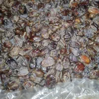 خرمای کباب درجه یک