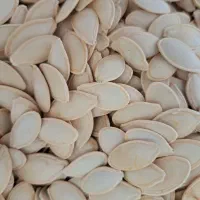 تخمه کدو اعلی درجه یک امسالی