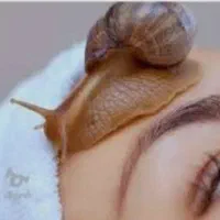 حلزون تراپی