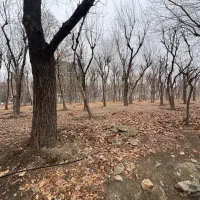 800متر-زمین-فاز-یک