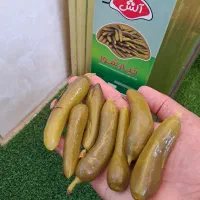 خیارشور