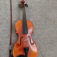 ویالون درحد