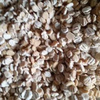 کشک درجه یک کیلویی۵۰۰