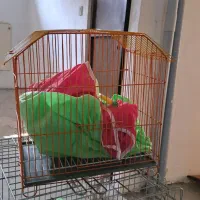 عنواع قفس از بزرگ تا کوچیک