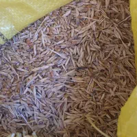گندم ریزه|لوازم جانبی حیوانات|دهلران, |دیوار