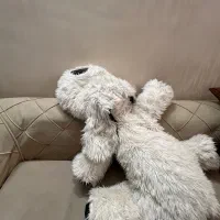 سگ پولیشی خیلی بزرگ